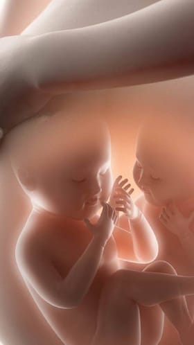 ಜೋಡಿ ಬಾಳೆಹಣ್ಣು ತಿಂದ್ರೆ ಜೋಡಿ ಮಕ್ಕಳಾಗುತ್ತಾ? ಡಾಕ್ಟರ್​  ಏನ್​ ಹೇಳ್ತಾರೆ ಕೇಳಿ