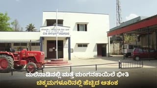 ಮಲೆನಾಡಿನಲ್ಲಿ ಮತ್ತೆ ಮಂಗನಕಾಯಿಲೆ ಭೀತಿ: ಶಿವಮೊಗ್ಗದಲ್ಲಿ ಮೊದಲ ಬಲಿ, ಚಿಕ್ಕಮಗಳೂರಿನಲ್ಲಿ ಹೆಚ್ಚಿದ ಆತಂಕ