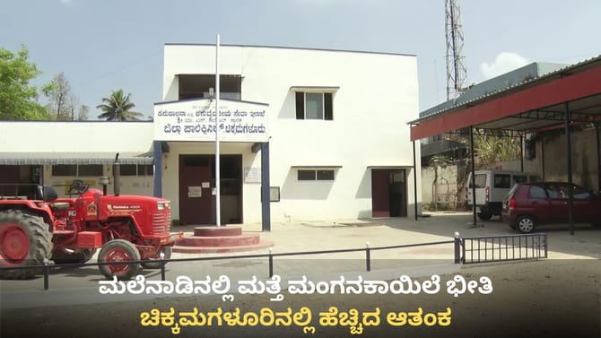 ಮಲೆನಾಡಿನಲ್ಲಿ ಮತ್ತೆ ಮಂಗನಕಾಯಿಲೆ ಭೀತಿ: ಚಿಕ್ಕಮಗಳೂರಿನಲ್ಲಿ ಹೆಚ್ಚಿದ ಆತಂಕ