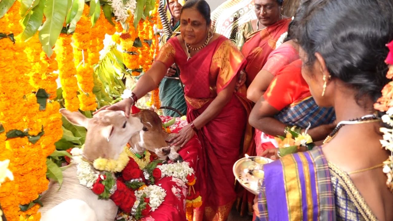 ಈ ಕರುಗಳಿಗೆ ಜನ್ಮ ನೀಡಿರುವ ಹಸುವಿಗೆ 15 ದಿನಗಳ ಹಿಂದೆ ಸೀಮಂತ ಕಾರ್ಯವನ್ನೂ ರೈತ ನಾಗರಾಜ್ ಮಡಿವಾಳ ನೆರವೇರಿಸಿದ್ದರು. ಹೀಗಾಗಿ ಅವುಗಳನ್ನ ತೊಟ್ಟಿಲಿಗೆ ಹಾಕುವ ಕಾರ್ಯವನ್ನೂ ಕುಟುಂಬಸ್ಥರು ಭರ್ಜರಿಯಾಗಿಯೇ ನಡೆಸಿ ಗಮನ ಸೆಳೆದಿದ್ದಾರೆ. ನೂರಾರು ಜನರನ್ನು ಆಹ್ವಾನಿಸಿ ಖುಷಿಪಟ್ಟಿದ್ದಾರೆ.