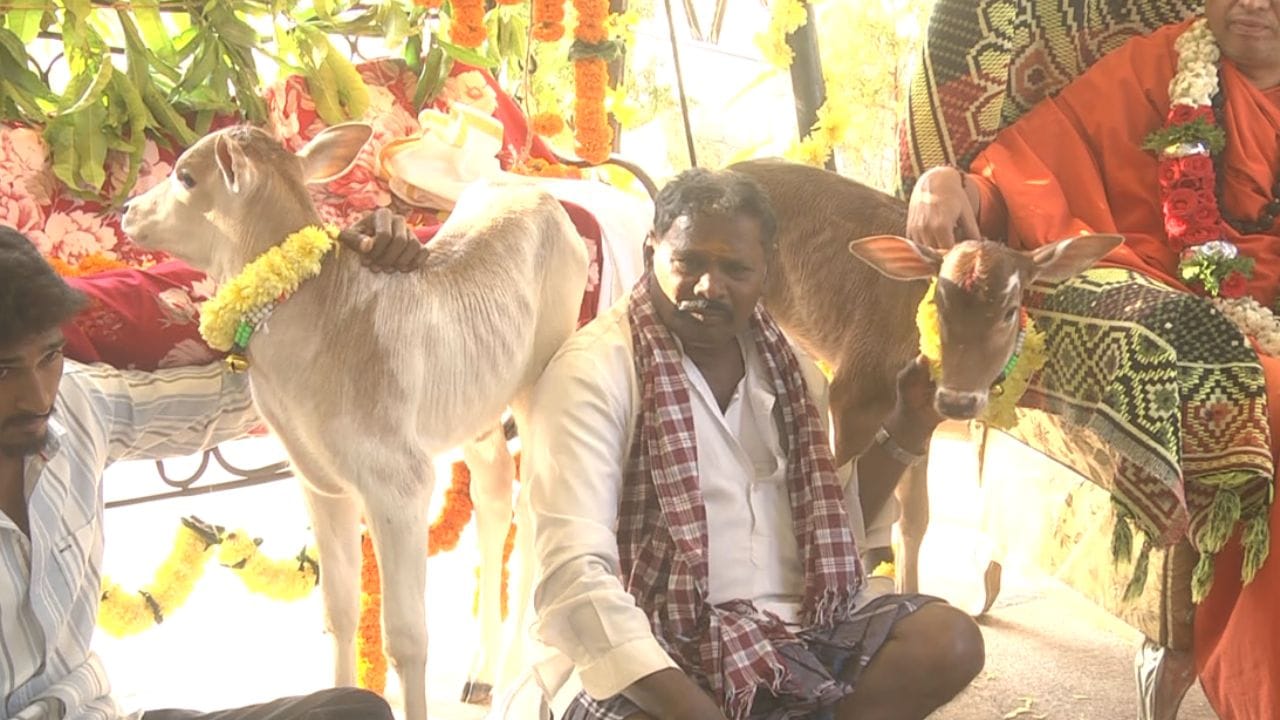 ಗ್ರಾಮದ ರೈತ ನಾಗರಾಜ್ ಮಡಿವಾಳರ ಮನೆಯಲ್ಲಿ ತೊಟ್ಟಿಲಿಗೆ ತೆಂಗಿನ ಗರಿ, ತಳಿರು ತೋರಣ, ಹೂವುಗಳಿಂದ ಶೃಂಗಾರ ಮಾಡಲಾಗಿದ್ದು, ಅಕ್ಷರಶಃ ಹಬ್ಬದ ವಾತಾವರಣ ಸ್ಥಳದಲ್ಲಿ ಮನೆ ಮಾಡಿತ್ತು. ಸಂಪ್ರದಾಯದಂತೆ ಮುದ್ದಾದ ಕರುಗಳನ್ನು ತೊಟ್ಟಿಲಿಗೆ ಹಾಕಿ ನೆರೆದಿದ್ದವರು ಸಂತಸಪಟ್ಟರು. ಮಠಾಧೀಶರು ಕೂಡ ಕಾರ್ಯಕ್ರಮಕ್ಕೆ ಸಾಕ್ಷಿಯಾದರು.