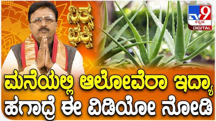 Daily Devotional: ಮನೆಯಲ್ಲಿ ಆಲೋವೆರಾ ಇದ್ದರೆ ಏನೆಲ್ಲಾ ಲಾಭ? Daily Devotional: ಮನೆಯಲ್ಲಿ ಆಲೋವೆರಾ ಇದ್ದರೆ ಏನೆಲ್ಲಾ ಲಾಭ?