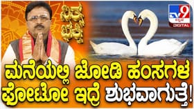 ಮನೆಯಲ್ಲಿ ಜೋಡಿ ಹಂಸಗಳ ಫೋಟೋ ಇದ್ರೆ ಶುಭವಾಗುತ್ತೆ!