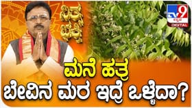 ಮನೆ ಹತ್ರ ಬೇವಿನಮರ ಇದ್ರೆ ಒಳ್ಳೆದಾ?