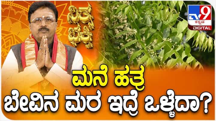 Daily Devotional: ಮನೆ ಹತ್ರ ಬೇವಿನಮರ ಇದ್ರೆ ಒಳ್ಳೆದಾ? Daily Devotional: ಮನೆ ಹತ್ರ ಬೇವಿನಮರ ಇದ್ರೆ ಒಳ್ಳೆದಾ?