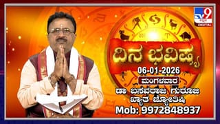 ದುಬೈ ಮಾದರಿಯ ಡ್ರ್ಯಾಗನ್ ಬೋಟಿಂಗ್​​ ಲೋಕಾರ್ಪಣೆ: ಮೈಸೂರಿಗೆ ಬರುವವರು ಇದನ್ನು ಮಿಸ್ ಮಾಡ್ಕೋಬೇಡಿ