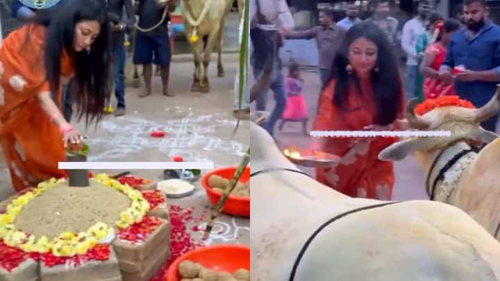ದರ್ಶನ್ ಗೈರು ಹಾಜರಿ ನಡುವೆ ವಿಜಯಲಕ್ಷ್ಮಿ ಮುಂದಾಳತ್ವದಲ್ಲಿ ಸಂಕ್ರಾಂತಿ ಆಚರಣೆ: ವಿಡಿಯೋ ದರ್ಶನ್ ಗೈರು ಹಾಜರಿ ನಡುವೆ ವಿಜಯಲಕ್ಷ್ಮಿ ಮುಂದಾಳತ್ವದಲ್ಲಿ ಸಂಕ್ರಾಂತಿ ಆಚರಣೆ: ವಿಡಿಯೋ