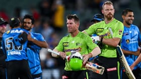 ಅರ್ಧಶತಕ ಬಾರಿಸಿಯೂ ತಂಡವನ್ನು ಗೆಲ್ಲಿಸದ ವಾರ್ನರ್