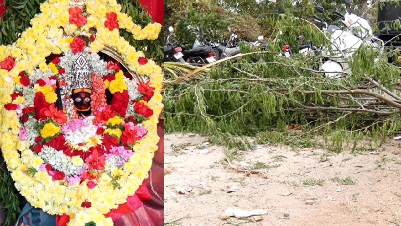 ಚಿತ್ರದುರ್ಗದಲ್ಲೊಂದು ವಿಶೇಷ ಗ್ರಾಮ: ಮಾರಮ್ಮ ಜಾತ್ರೆಗೆ ಪ್ರತಿ ರಸ್ತೆಗೆ ಮುಳ್ಳಿನ ಬೇಲಿ ಹಾಕಿ ದಿಗ್ಭಂಧನ ಚಿತ್ರದುರ್ಗದಲ್ಲೊಂದು ವಿಶೇಷ ಗ್ರಾಮ: ಮಾರಮ್ಮ ಜಾತ್ರೆಗೆ ಪ್ರತಿ ರಸ್ತೆಗೆ ಮುಳ್ಳಿನ ಬೇಲಿ ಹಾಕಿ ದಿಗ್ಭಂಧನ