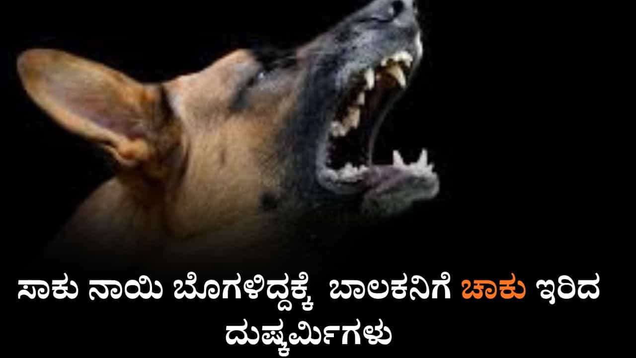 ಸಾಕು ನಾಯಿ ಬೊಗಳಿದ್ದಕ್ಕೆ ಬಾಲಕನಿಗೆ ಚಾಕು ಇರಿದ ದುಷ್ಕರ್ಮಿಗಳು ಸಾಕು ನಾಯಿ ಬೊಗಳಿದ್ದಕ್ಕೆ ಬಾಲಕನಿಗೆ ಚಾಕು ಇರಿದ ದುಷ್ಕರ್ಮಿಗಳು