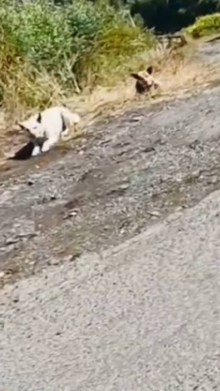 ನೀವು ಮುಂದೆ ಗಾಡಿಯಲ್ಲಿ ಹೋದ್ರೆ ಮಾತ್ರ ನಾವು ಹಿಂದೆ ಬರೋದು, ಇಲ್ಲಾಂದ್ರೆ ನೀವ್ಯಾರೋ ನಾವ್ಯಾರೋ