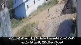 ರಸ್ತೆಯಲ್ಲಿ ಹೋಗುತ್ತಿದ್ದ 3 ವರ್ಷದ ಬಾಲಕನ ಮೇಲೆ ಬೀದಿ ನಾಯಿಗಳ ದಾಳಿ; ವಿಡಿಯೋ ವೈರಲ್
