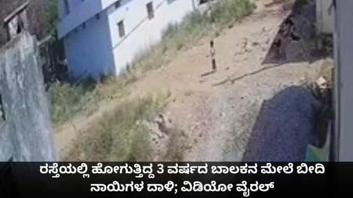 ರಸ್ತೆಯಲ್ಲಿ ಹೋಗುತ್ತಿದ್ದ 3 ವರ್ಷದ ಬಾಲಕನ ಮೇಲೆ ಬೀದಿ ನಾಯಿಗಳ ದಾಳಿ; ವಿಡಿಯೋ ವೈರಲ್ ರಸ್ತೆಯಲ್ಲಿ ಹೋಗುತ್ತಿದ್ದ 3 ವರ್ಷದ ಬಾಲಕನ ಮೇಲೆ ಬೀದಿ ನಾಯಿಗಳ ದಾಳಿ; ವಿಡಿಯೋ ವೈರಲ್