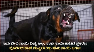 ಮತ್ತೆ ಸಂಕಷ್ಟದಲ್ಲಿ ಧಾರವಾಡ ಮಾವು ಬೆಳೆಗಾರರು: ಹಣ್ಣಿನ ರಾಜನಿಗೆ ಕಾಡುತ್ತಿದೆ ಭಯಾನಕ ರೋಗ