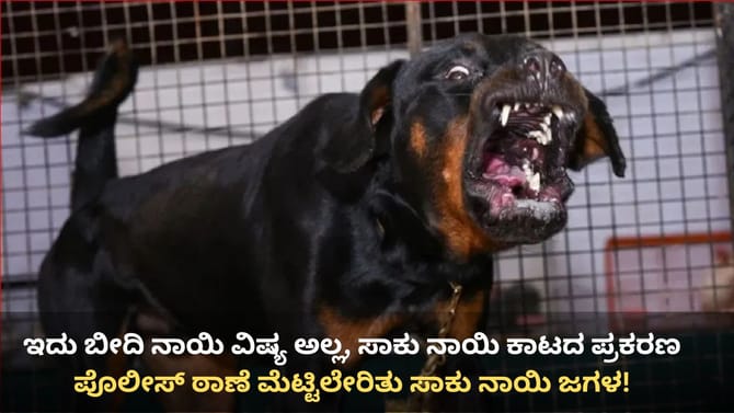 ಬೀದಿ ನಾಯಿ ಅಲ್ಲ, ಪೊಲೀಸ್ ಠಾಣೆ ಮೆಟ್ಟಿಲೇರಿತು ಸಾಕು ನಾಯಿ ಜಗಳ!