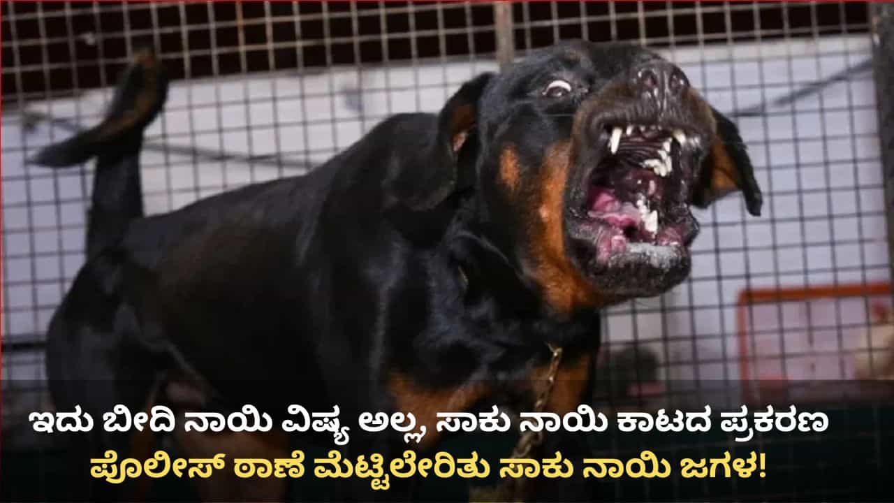ಬೀದಿ ನಾಯಿ ಅಲ್ಲ, ಪೊಲೀಸ್ ಠಾಣೆ ಮೆಟ್ಟಿಲೇರಿತು ಸಾಕು ನಾಯಿ ಜಗಳ! ಅಸಲಿಗೆ ಆಗಿದ್ದೇನು ಗೊತ್ತೇ? ಬೀದಿ ನಾಯಿ ಅಲ್ಲ, ಪೊಲೀಸ್ ಠಾಣೆ ಮೆಟ್ಟಿಲೇರಿತು ಸಾಕು ನಾಯಿ ಜಗಳ! ಅಸಲಿಗೆ ಆಗಿದ್ದೇನು ಗೊತ್ತೇ?