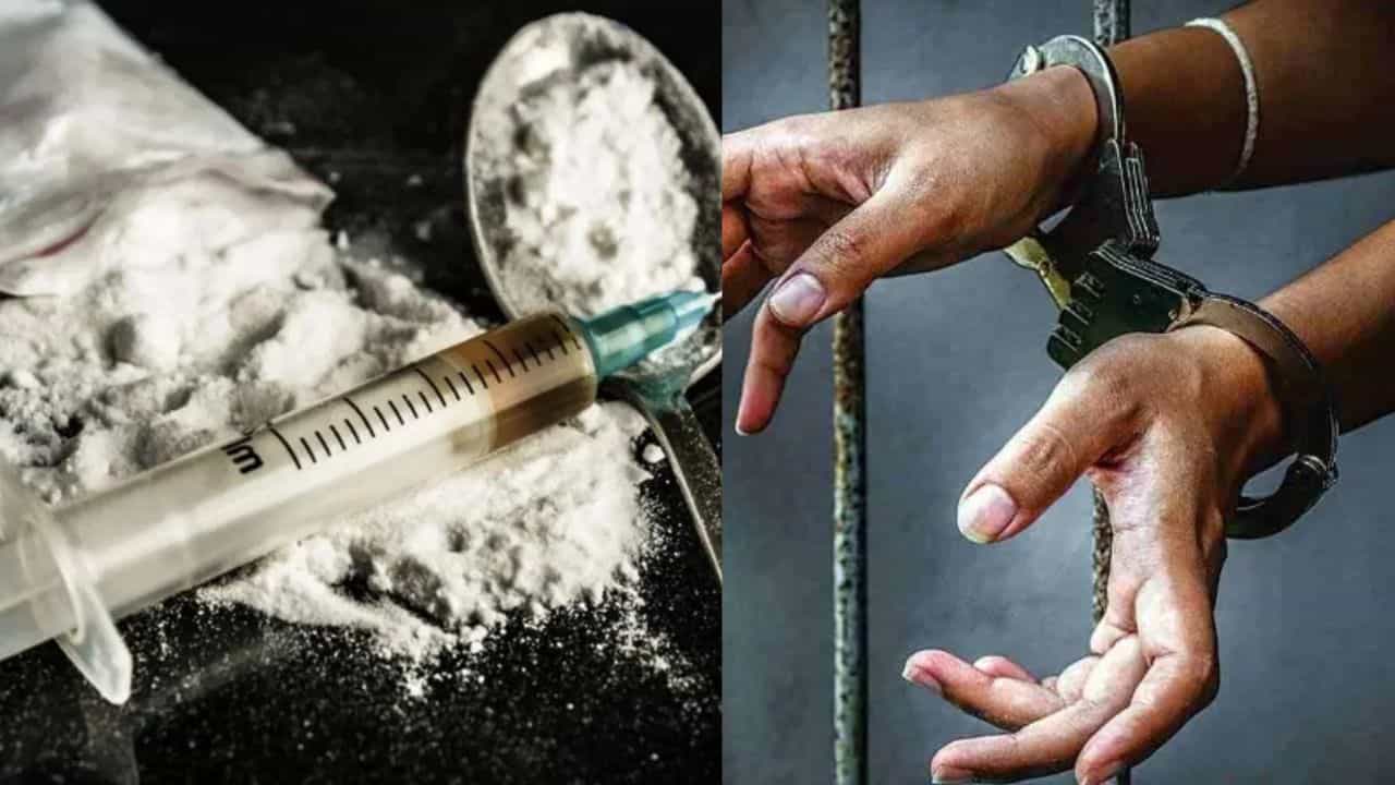 ಬೆಂಗಳೂರು: 4 ಕೋಟಿ ರೂ. ಮೌಲ್ಯದ ಡ್ರಗ್ಸ್ ಸೀಜ್, ಕೇರಳ ಮೂಲದ 7 ಪೆಡ್ಲರ್ಸ್ ಸೇರಿ 10 ಮಂದಿಯ ಬಂಧನ ಬೆಂಗಳೂರು: 4 ಕೋಟಿ ರೂ. ಮೌಲ್ಯದ ಡ್ರಗ್ಸ್ ಸೀಜ್, ಕೇರಳ ಮೂಲದ 7 ಪೆಡ್ಲರ್ಸ್ ಸೇರಿ 10 ಮಂದಿಯ ಬಂಧನ