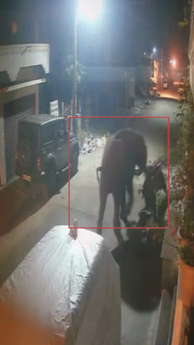 ಕಾಡಾನೆ ರಣಾರ್ಭಟಕ್ಕೆ ಸಿಕ್ಕಿದ್ದೆಲ್ಲವೂ ಉಡೀಸ್​