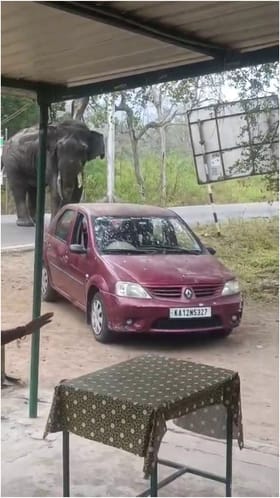 ಚೆಕ್​ಪೋಸ್ಟ್ ಒಳ ನುಗ್ಗಲು ಯತ್ನಿಸಿದ ಕಾಡಾನೆ!