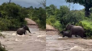 ‘37 ಕೋಟಿ ವೋಟ್ ಅವನಿಗೆ ಬಿದ್ದಿದೆ’; ಹನುಮಂತನ ಪ್ರಕಾರವೂ ಗಿಲ್ಲಿನೇ ವಿನ್ನರ್ 