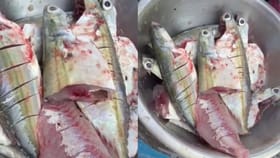 ಕತ್ತರಿಸಿದ ನಂತರವೂ ಸಾಯದೆ ಚಡಪಡಿಸುತ್ತಿರುವ ಮೀನು! ವಿಡಿಯೋ ನೋಡಿ