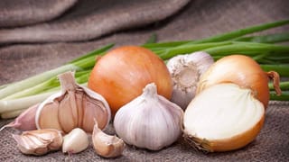 ಫೈಬರ್ ಸೇರಿ ಹೇರಳ ಪೌಷ್ಟಿಕಾಂಶಗಳಿರುವ ಸೋರೆಕಾಯಿಯಿಂದ ಪ್ರಯೋಜನಗಳೇನು? ಬಾಬಾ ರಾಮದೇವ್ ಮಾಹಿತಿ