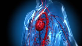 ಹೃದಯಕ್ಕೆ ಏನು ಆಗ್ಬಾರ್ದು ಅಂದ್ರೆ ಚಳಿಗಾಲದಲ್ಲಿ ಈ ಆಹಾರಗಳನ್ನು ಸೇವಿಸಬೇಡಿ