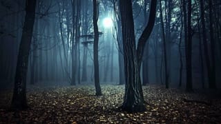 Indian Railways: ಭಾರತೀಯ ರೈಲುಗಳ ಬೋಗಿಗಳು ವಿಭಿನ್ನ ಬಣ್ಣಗಳನ್ನು ಹೊಂದಿರುವುದೇಕೆ?