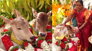 ಬಿಗ್ ಬಾಸ್​​ನಲ್ಲಿ ಇಬ್ಬರಿಗೆ ರೆಡ್ ಕಾರ್ಡ್; ಮೂರು ತಿಂಗಳ ಸಂಬಳ ಕಟ್, ಫಿನಾಲೆಗೂ ಇಲ್ಲ ಅವಕಾಶ