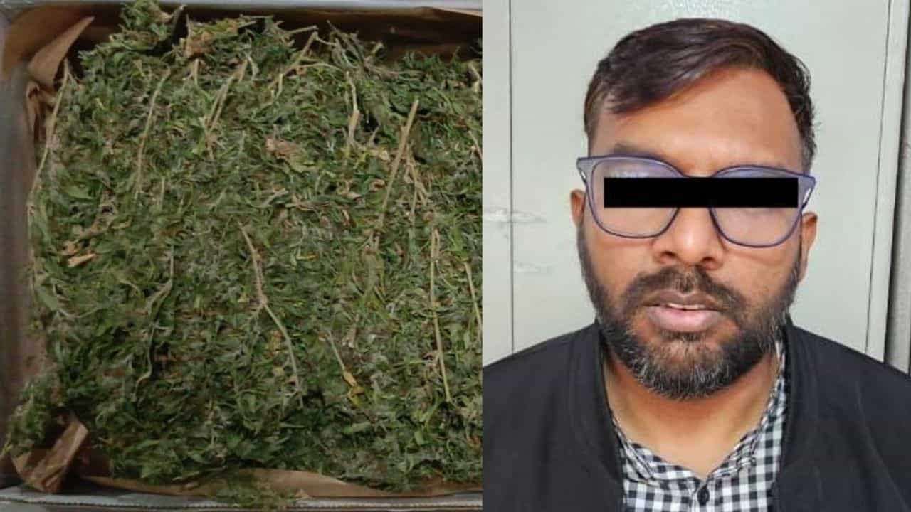 ಬೆಳಗಾವಿ: ಸರ್ಕಾರಿ ಆಸ್ಪತ್ರೆ ವೈದ್ಯನ ಮನೆಯಲ್ಲೇ ಇತ್ತು ಗಾಂಜಾ ಸ್ಟಾಕ್! ಬೆಳಗಾವಿ: ಸರ್ಕಾರಿ ಆಸ್ಪತ್ರೆ ವೈದ್ಯನ ಮನೆಯಲ್ಲೇ ಇತ್ತು ಗಾಂಜಾ ಸ್ಟಾಕ್!