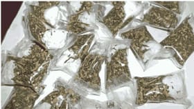 ಬೆಳಗಾವಿ: ಸರ್ಕಾರಿ ಆಸ್ಪತ್ರೆ ವೈದ್ಯನ ಮನೆಯಲ್ಲೇ ಇತ್ತು ಗಾಂಜಾ ಸ್ಟಾಕ್!