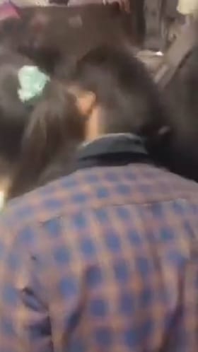 ರೈಲಿನಲ್ಲಿ ನಿಂತಿದ್ದ ಯುವತಿ ಕೆನ್ನೆಗೆ ಮುತ್ತಿಟ್ಟ ಪ್ರಯಾಣಿಕ