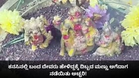 ಕನಸಿನಲ್ಲಿ ಬಂದ ದೇವರು ಹೇಳಿದ್ದಕ್ಕೆ ಮಣ್ಣು ಅಗೆದಾಗ ನಡೆಯಿತು ಅಚ್ಚರಿ!