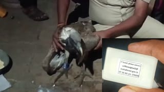 ಬಳ್ಳಾರಿ ಗಲಭೆ: ನಾಳೆ ನಡೆಯಲಿರುವ ಬಿಜೆಪಿ ಬೃಹತ್​ ಪ್ರತಿಭಟನೆ ರ‍್ಯಾಲಿ ಬಗ್ಗೆ ಎಸ್​​ಪಿ ಹೇಳಿದ್ದಿಷ್ಟು