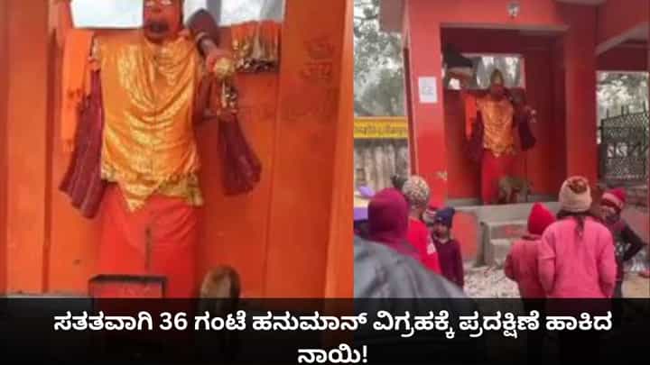 ಸತತವಾಗಿ 36 ಗಂಟೆ ಹನುಮಾನ್ ವಿಗ್ರಹಕ್ಕೆ ಪ್ರದಕ್ಷಿಣೆ ಹಾಕಿದ ನಾಯಿ! ಸತತವಾಗಿ 36 ಗಂಟೆ ಹನುಮಾನ್ ವಿಗ್ರಹಕ್ಕೆ ಪ್ರದಕ್ಷಿಣೆ ಹಾಕಿದ ನಾಯಿ!
