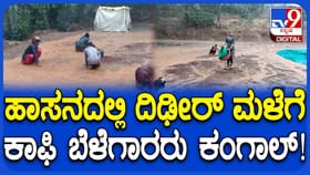 ಹಾಸನ ಜಿಲ್ಲೆಯ ವಿವಿಧೆಡೆ ಭಾರಿ ಮಳೆ: ಒಣಗಲು ಹಾಕಿದ್ದ ಕಾಫಿ ಬೆಳೆಗೆ ಹಾನಿ