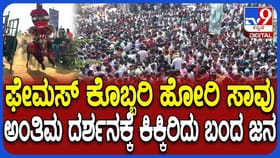 ಇದು ಯಾವುದೋ ಜಾತ್ರೆಯಲ್ಲ: ಹೋರಿ ಅಂತಿಮ ದರ್ಶನಕ್ಕೆ ಹರಿದುಬಂದ ಜನಸಾಗರ