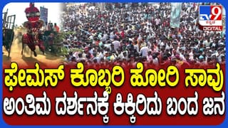 Horoscope Today 17 January: ಇಂದು ಈ ರಾಶಿಯವರಿಗೆ ಆಕಸ್ಮಿಕ ಧನಲಾಭ