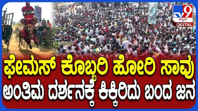 ಇದು ಯಾವುದೋ ಜಾತ್ರೆಯಲ್ಲ: ಹೋರಿ ಅಂತಿಮ ದರ್ಶನಕ್ಕೆ ಹರಿದುಬಂದ ಜನಸಾಗರ