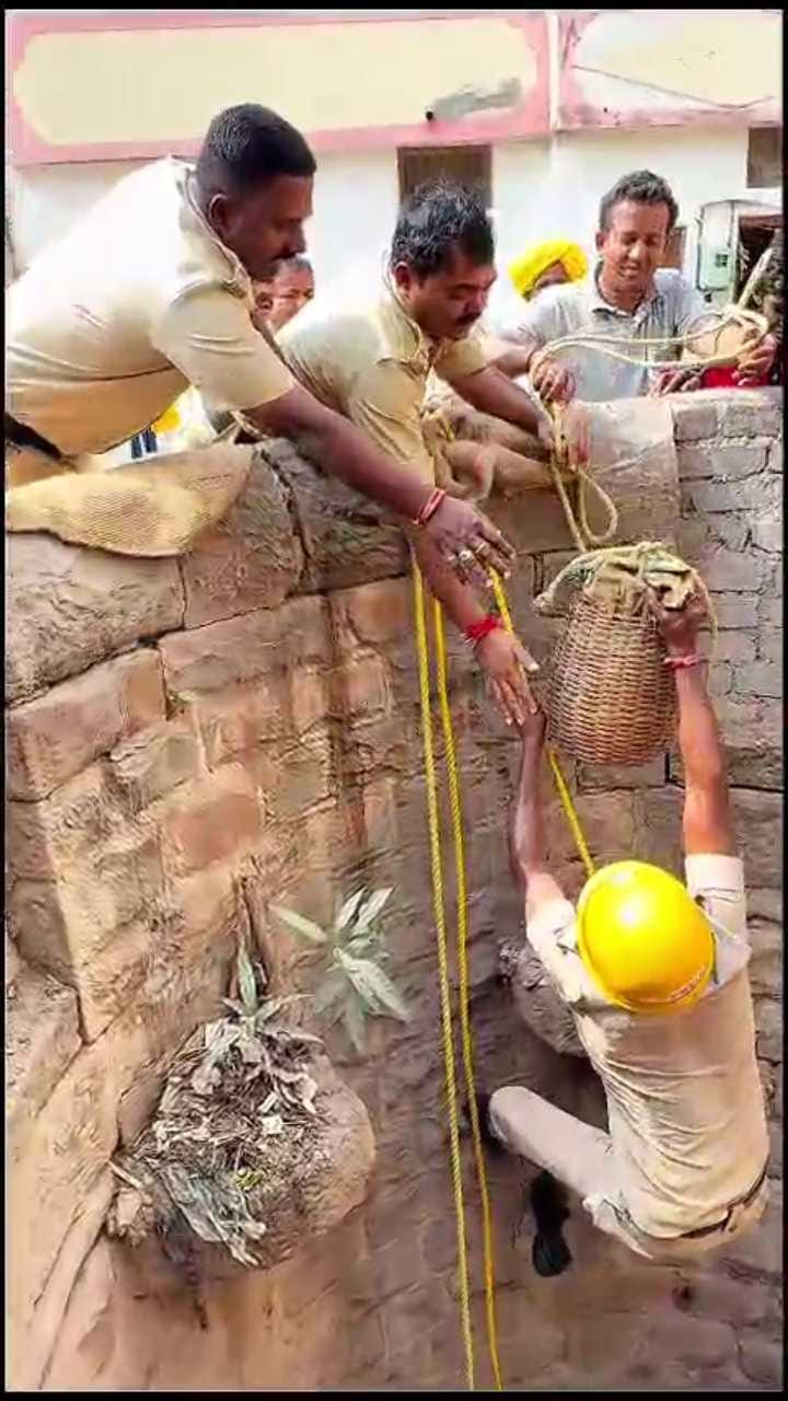 ಪಾಳುಬಾವಿಗೆ ಬಿದ್ದ ಬೆಕ್ಕನ್ನು ರಕ್ಷಣೆ ಮಾಡಿದ ಅಗ್ನಿಶಾಮಕ ಸಿಬ್ಬಂದಿ!