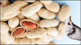 ಶೇಂಗಾ ತಿಂದ್ರೆ ತೂಕ ಕಡಿಮೆಯಾಗುತ್ತಾ ಅಥವಾ ಹೆಚ್ಚಾಗುತ್ತಾ?