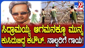ಸಿದ್ದರಾಮಯ್ಯ ಆಗಮನಕ್ಕೂ ಮುನ್ನ ಬೃಹತ್ ಕಟೌಟ್​ಗಳು ಬಿದ್ದು ನಾಲ್ವರಿಗೆ ಗಾಯ