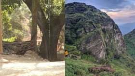 ಅಕ್ರಮವಾಗಿ ಚಂದ್ರದ್ರೋಣ ಪರ್ವತದಲ್ಲಿ ರೆಸಾರ್ಟ್ ನಿರ್ಮಾಣ