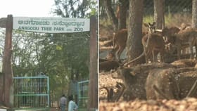 ಮಾರಣಾಂತಿಕ ರೋಗ: ಇಂದಿರಾ ಪ್ರಿಯದರ್ಶಿನಿ ಮೃಗಾಲಯ ಬಂದ್!