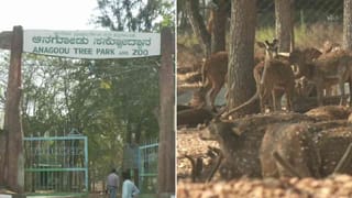 ಕರೋನಾ ರೀತಿಯ ಮಾರಣಾಂತಿಕ ರೋಗ: ಇಂದಿರಾ ಪ್ರಿಯದರ್ಶಿನಿ ಮೃಗಾಲಯ ಬಂದ್