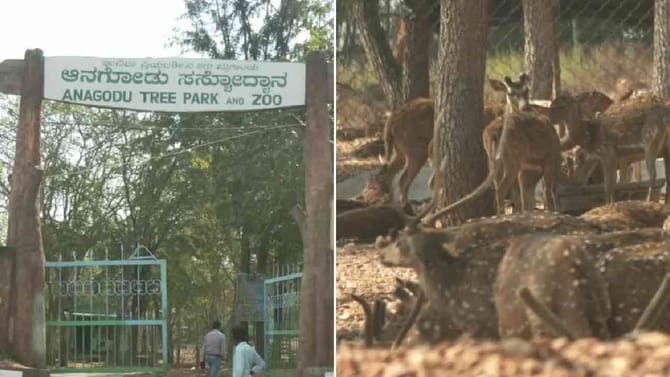 ಮಾರಣಾಂತಿಕ ರೋಗ: ಇಂದಿರಾ ಪ್ರಿಯದರ್ಶಿನಿ ಮೃಗಾಲಯ ಬಂದ್!