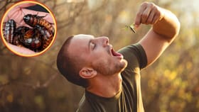 ಪ್ರತಿ ದಿನ 100 ಜೀವಂತ ಕೀಟಗಳನ್ನು ತಿನ್ನುವ ವ್ಯಕ್ತಿ