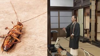 Optical Illusion: ಹದ್ದಿನ ಕಣ್ಣು ನಿಮ್ಮದಾಗಿದ್ರೆ ಈ ಚಿತ್ರದಲ್ಲಿರುವ ಮುಖಗಳನ್ನು ಗುರುತಿಸಿ