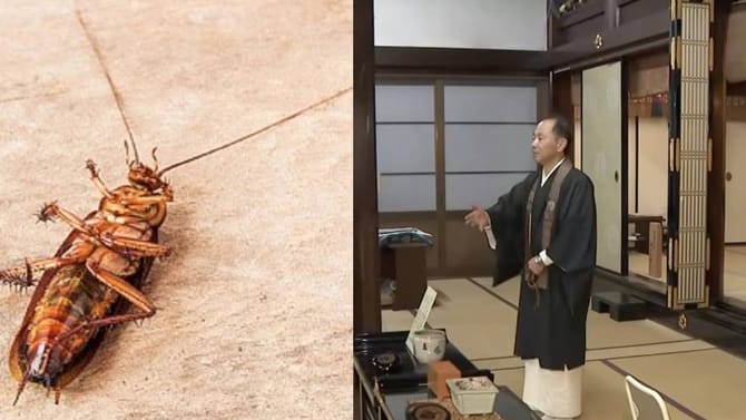 ಸತ್ತ ಕೀಟಗಳಿಗೂ ಶ್ರದ್ಧಾಂಜಲಿ ಸಲ್ಲಿಸುವ ಕೀಟನಾಶಕ ಕಂಪನಿ