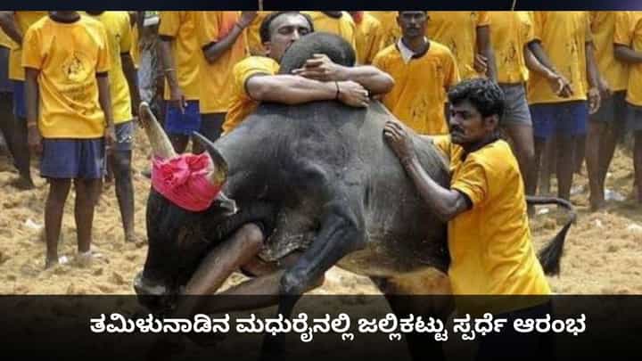 Jallikattu: ತಮಿಳುನಾಡಿನ ಮಧುರೈನಲ್ಲಿ ಜಲ್ಲಿಕಟ್ಟು ಆರಂಭ; 1 ಸಾವಿರಕ್ಕೂ ಹೆಚ್ಚು ಹೋರಿಗಳು ಭಾಗಿ Jallikattu: ತಮಿಳುನಾಡಿನ ಮಧುರೈನಲ್ಲಿ ಜಲ್ಲಿಕಟ್ಟು ಆರಂಭ; 1 ಸಾವಿರಕ್ಕೂ ಹೆಚ್ಚು ಹೋರಿಗಳು ಭಾಗಿ